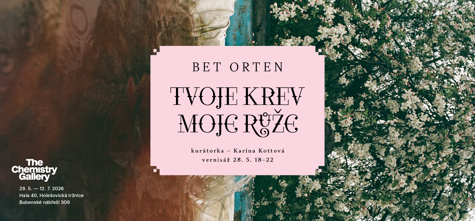 Výstava TVOJE KREV / MOJE RŮŽE