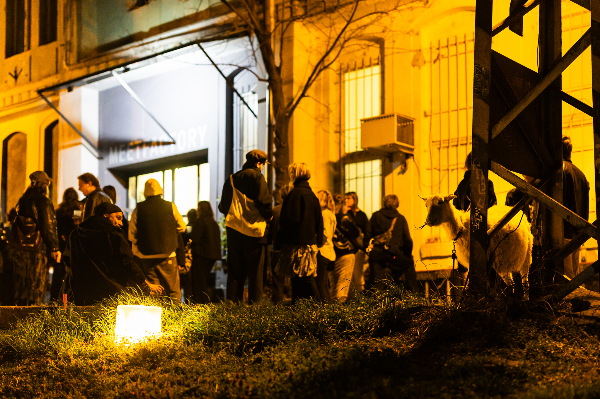 MeetFactory - Galerie Kostka