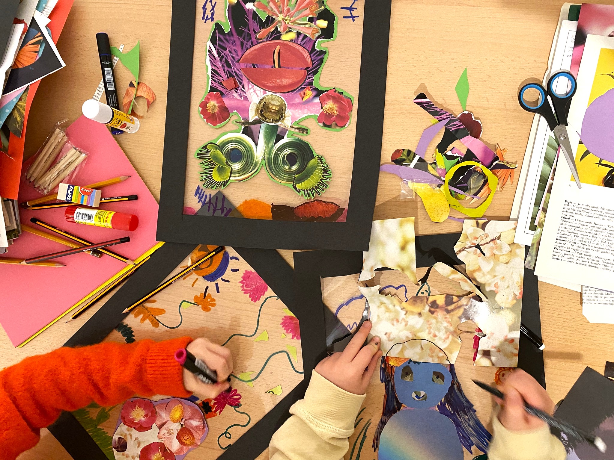 Experience a collage