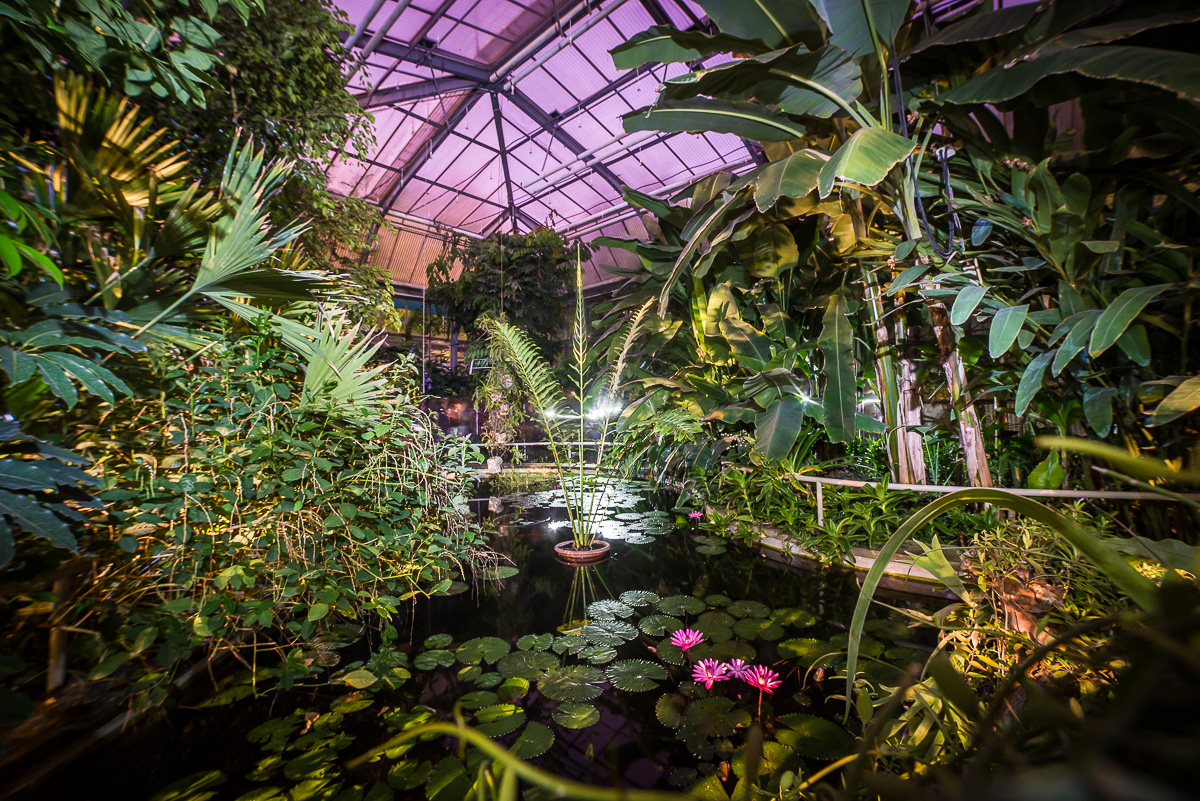 Botanická zahrada PřF UK