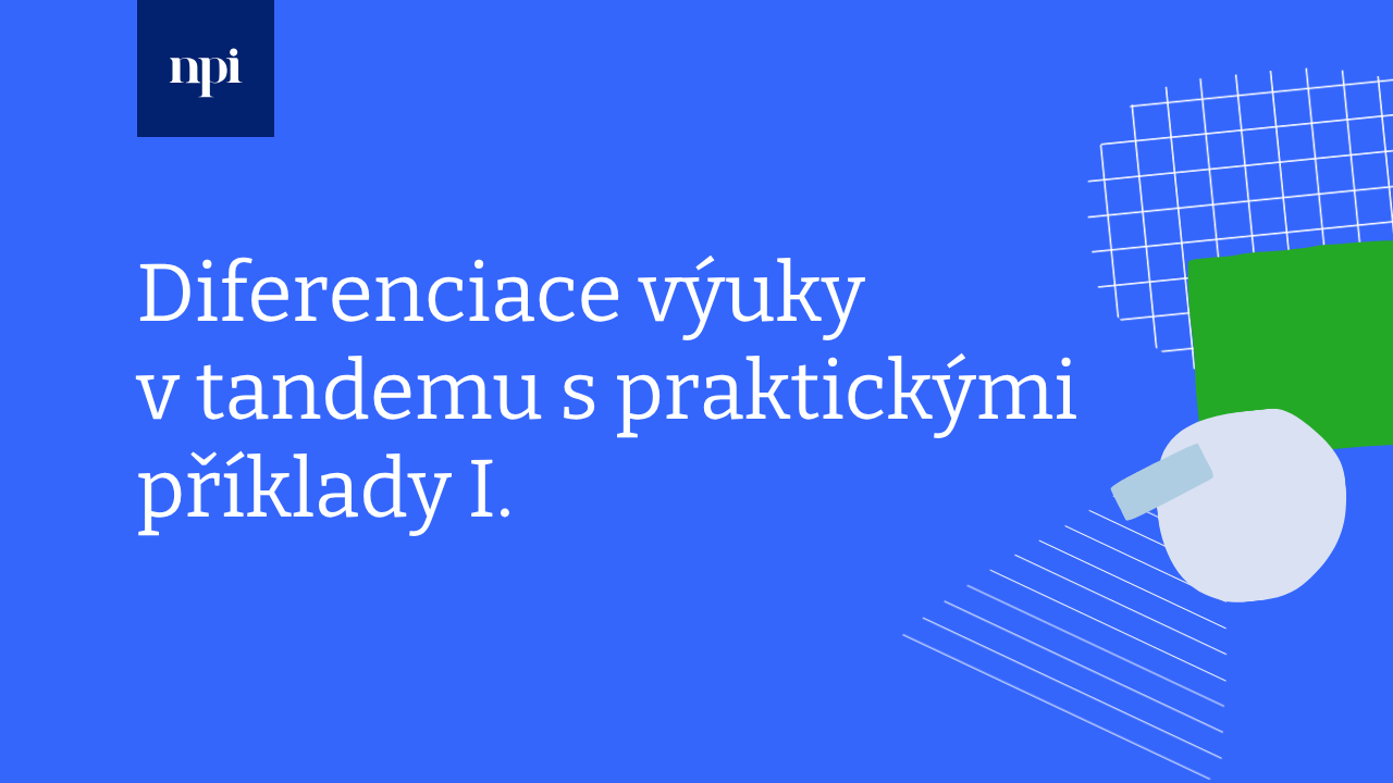 Diferenciace výuky v tandemu s praktickými příklady I.