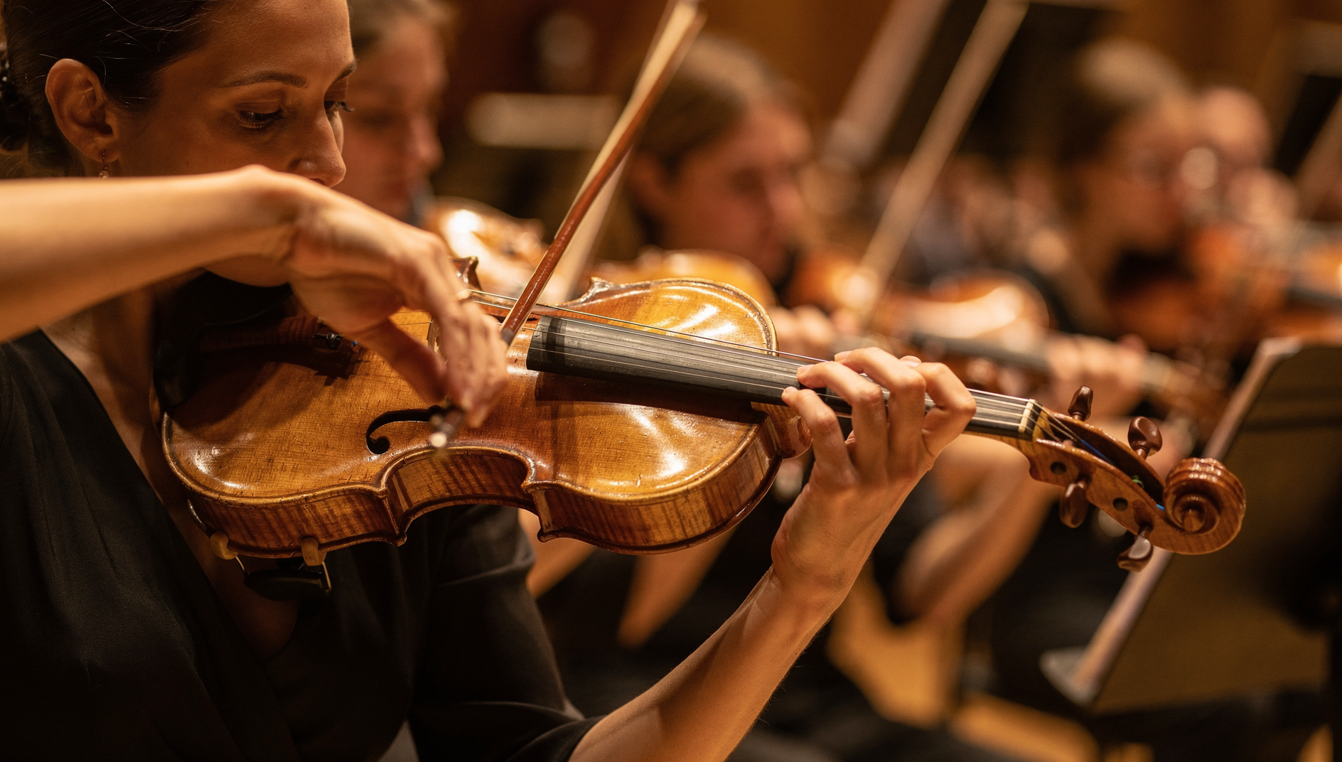 Nový svět, nové příležitosti: Dvořákova Olomouc vstává z popela