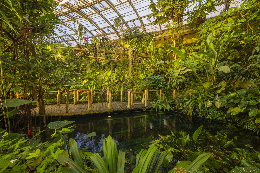 Po 20 letech sporu: Deyl dostane od zahrady odškodnění za skleník Fata Morgana