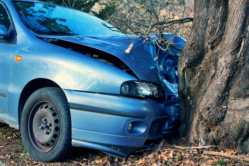 Auto plné dětí narazilo do stromu. Jedno nepřežilo, řidič byl pod vlivem alkoholu