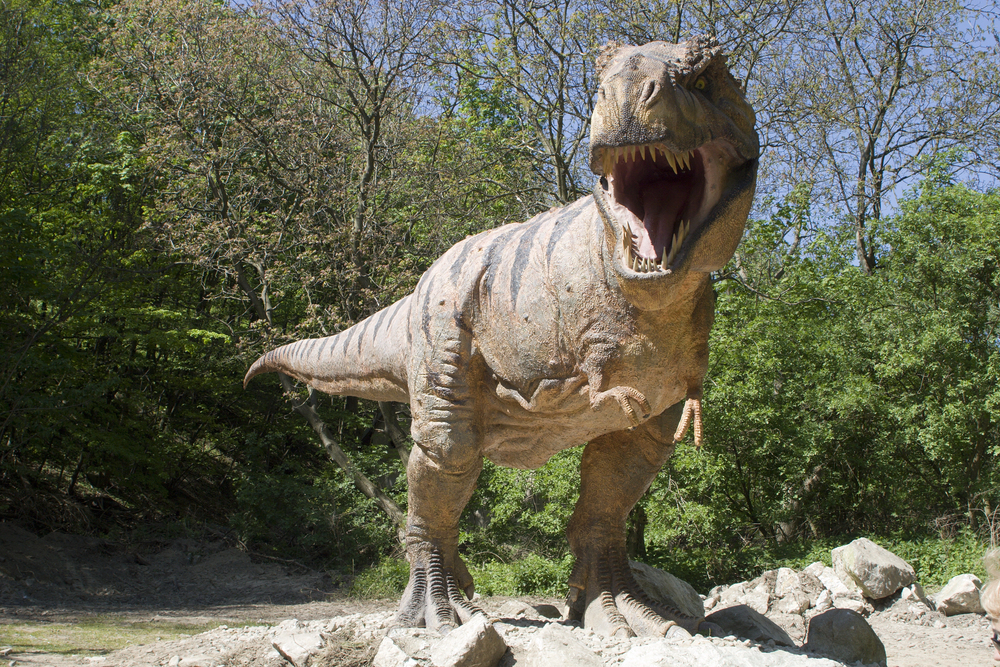 T. rex nebyl studenokrevný. Jeho tělesná teplota překvapivě odpovídala té lidské