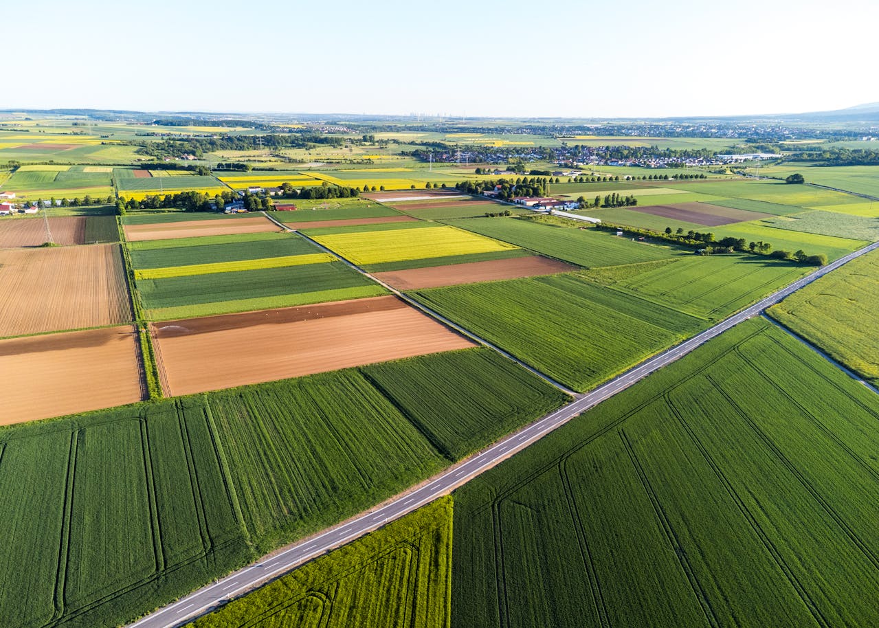Babišův střet zájmů nekončí: Miliarda v národních dotacích pro Agrofert stále ve hře