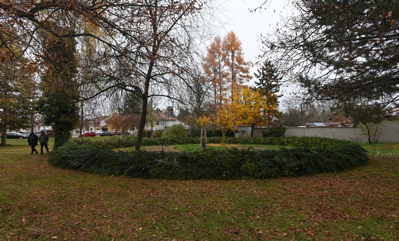 Ve Víceměřicích upletli obří adventní věnec. Míří do knihy rekordů