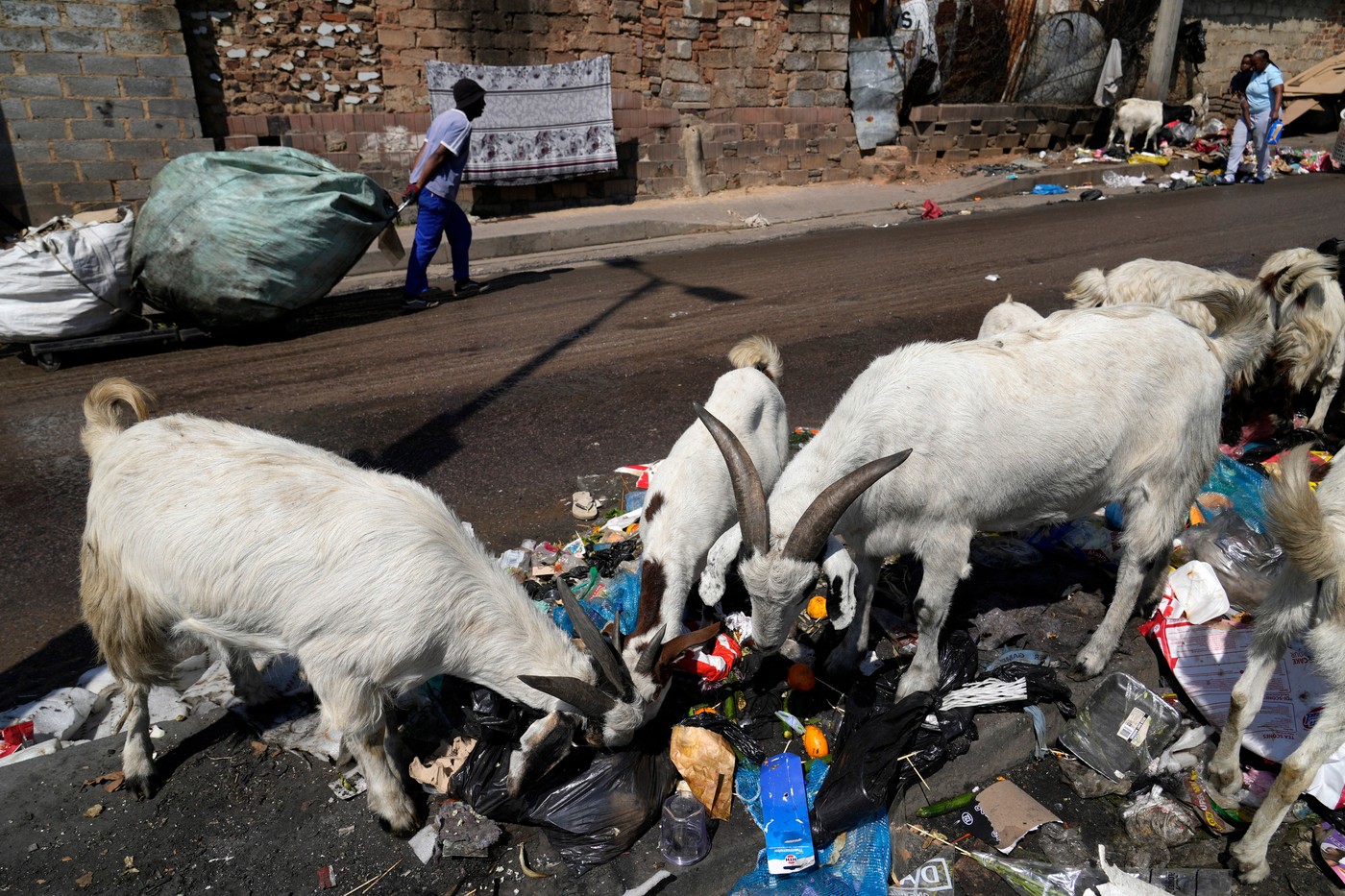 Odpadky jako nová městská krajina. Johannesburg má přes 2000 nelegálních skládek