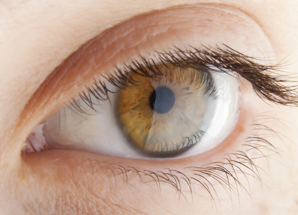 První transplantaci rohovky provedli před 120 lety v Olomouci