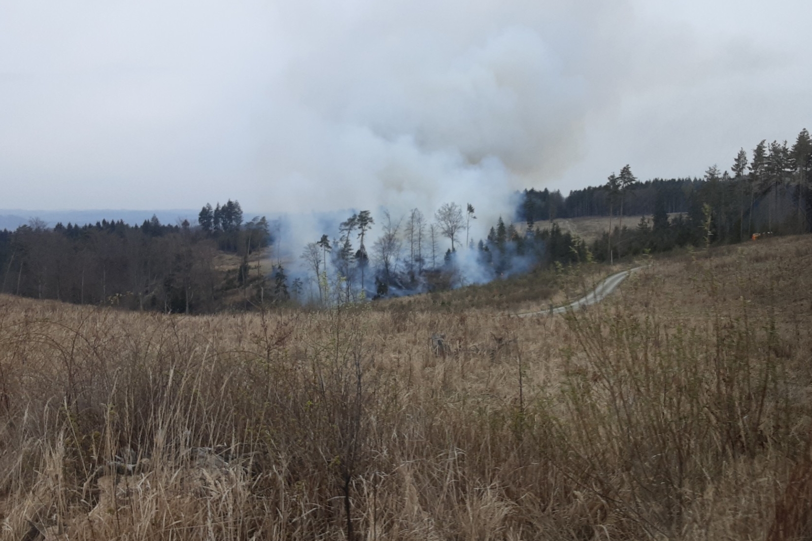 Na Blanensku hořel mladý les v obtížně dostupném terénu