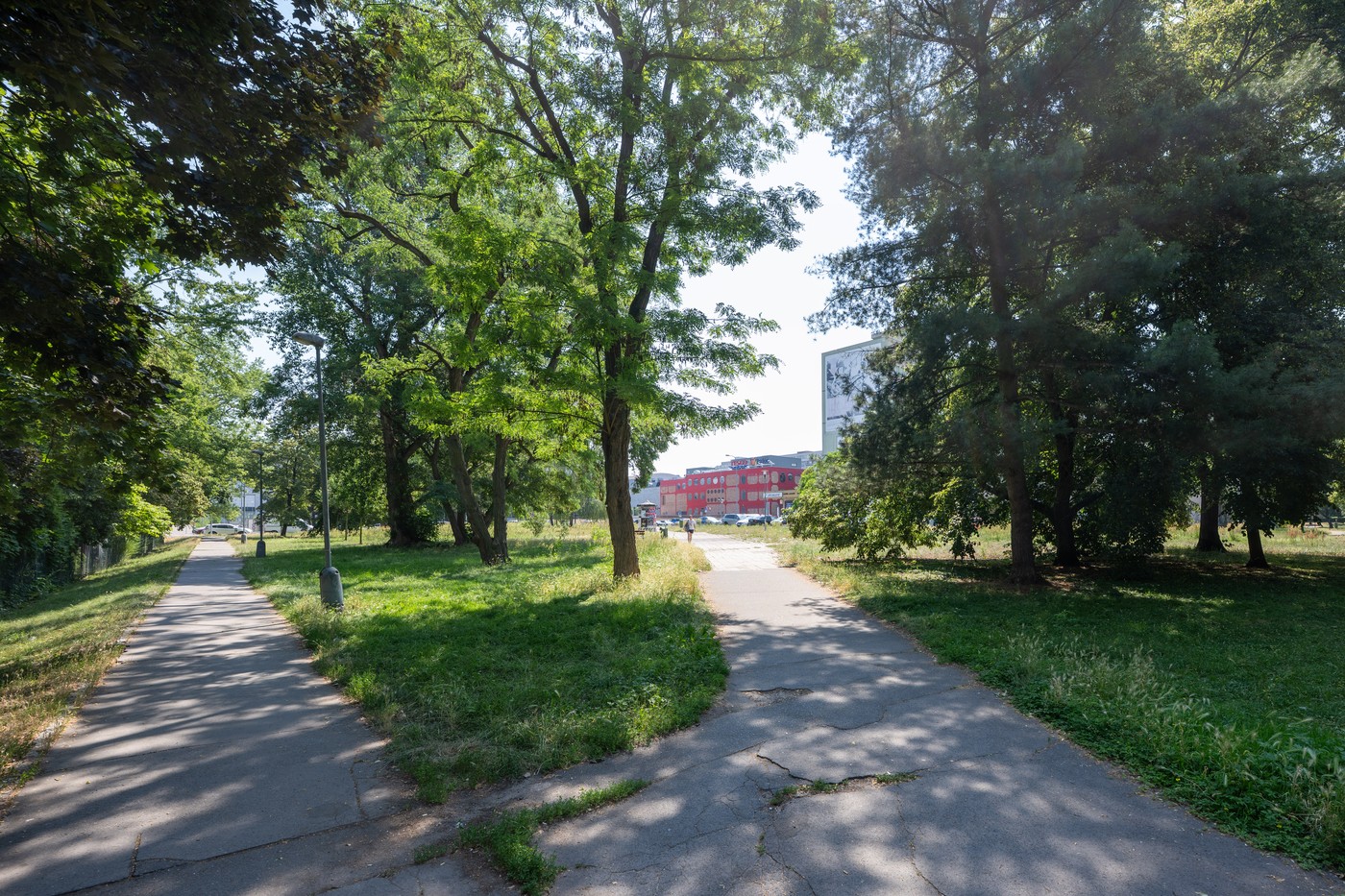 Pardubice chystají desítky nájemních a družstevních bytů, začnou projektovat