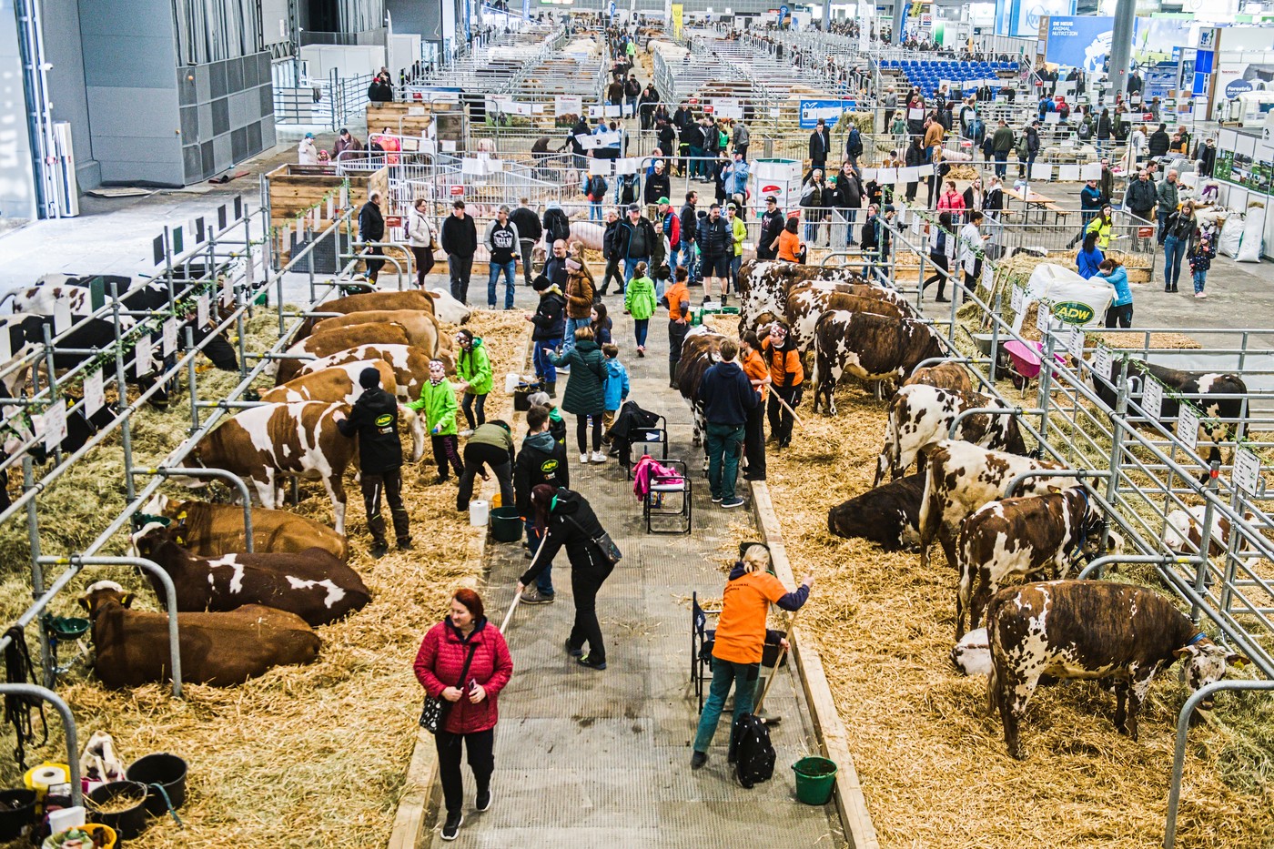 Agrishow se stal nejnavštěvovanějším veletrhem v Brně od roku 2018