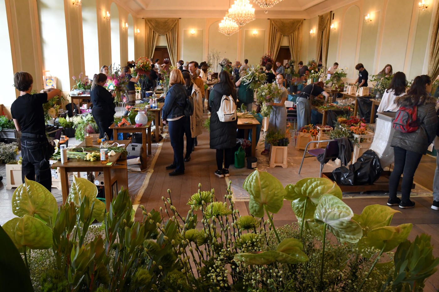 Z Amazonského pralesa na děčínský zámek: Mistrovství floristů láká tvůrce z celé republiky