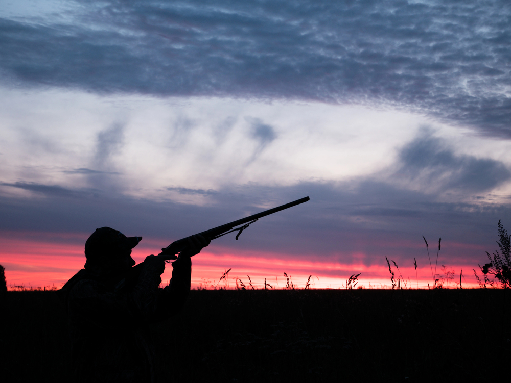 Myslivec na Tachovsku při honu omylem trefil kolegu, který na místě zemřel