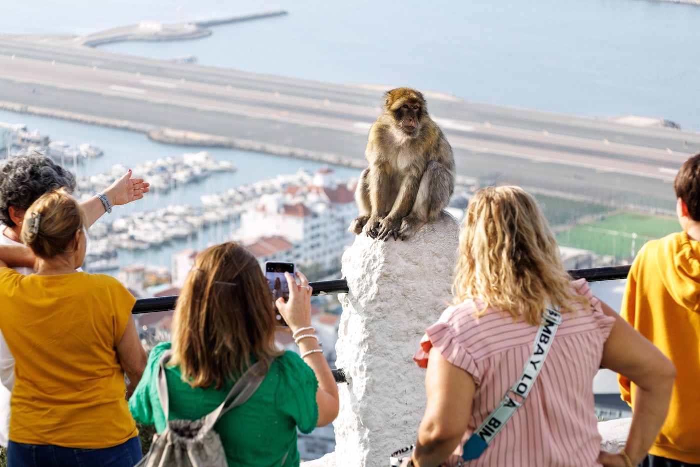 Makakové na Gibraltaru kvůli jídlu od turistů jedí hlínu, zjistila nová studie