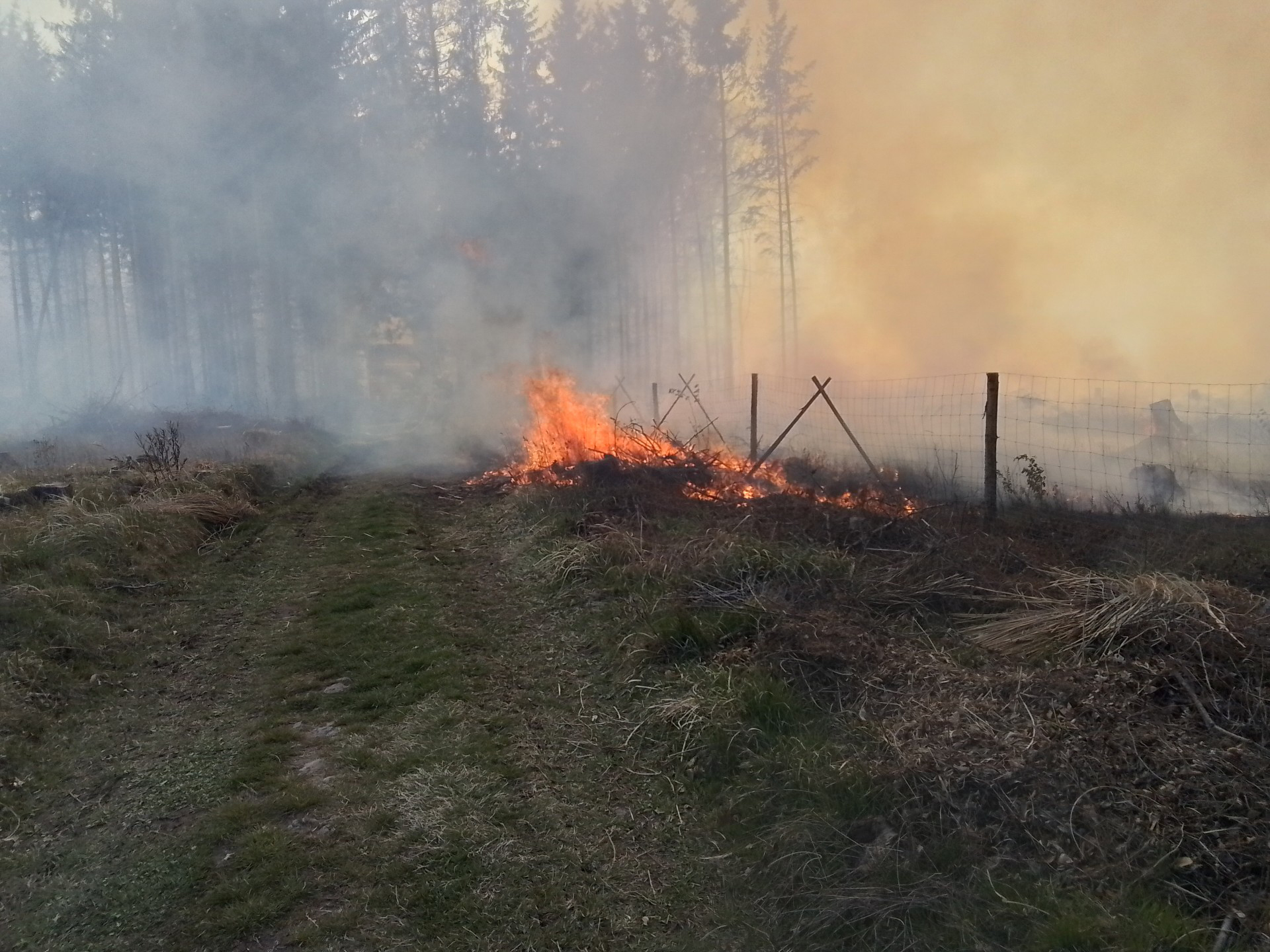 Na Žďársku hořely na 16 hektarech mladé stromky a tráva, požár je zlikvidovaný