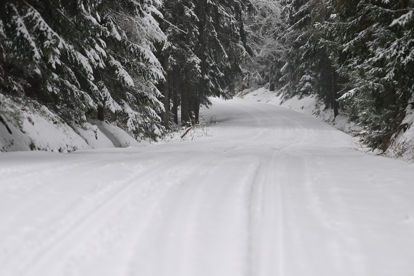 ČHMÚ: V noci na pondělí a v pondělí nasněží v části západních Čech až deset cm
