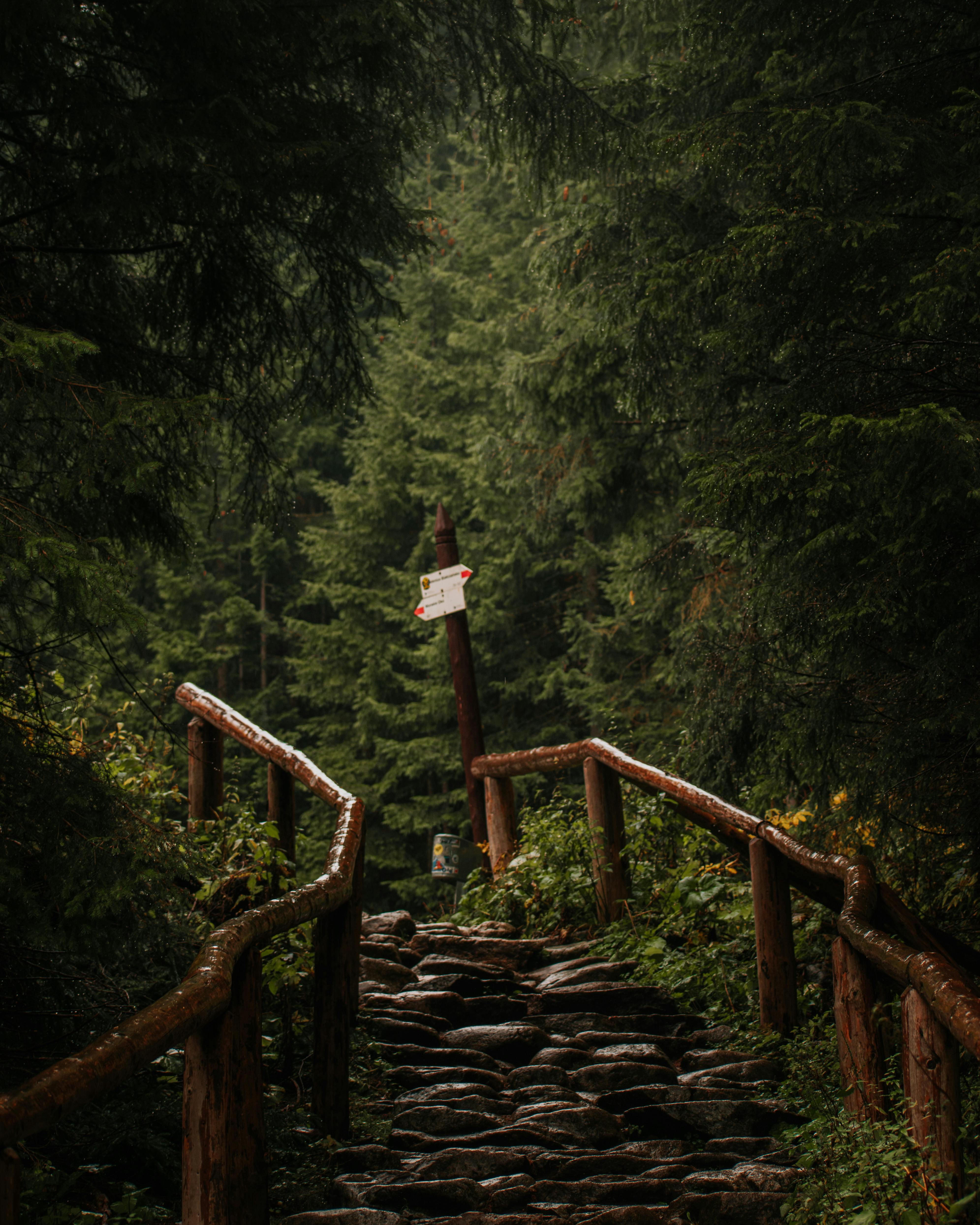 Poděbrady nabízejí stezky zdraví, šest tras měří přes 46 kilometrů