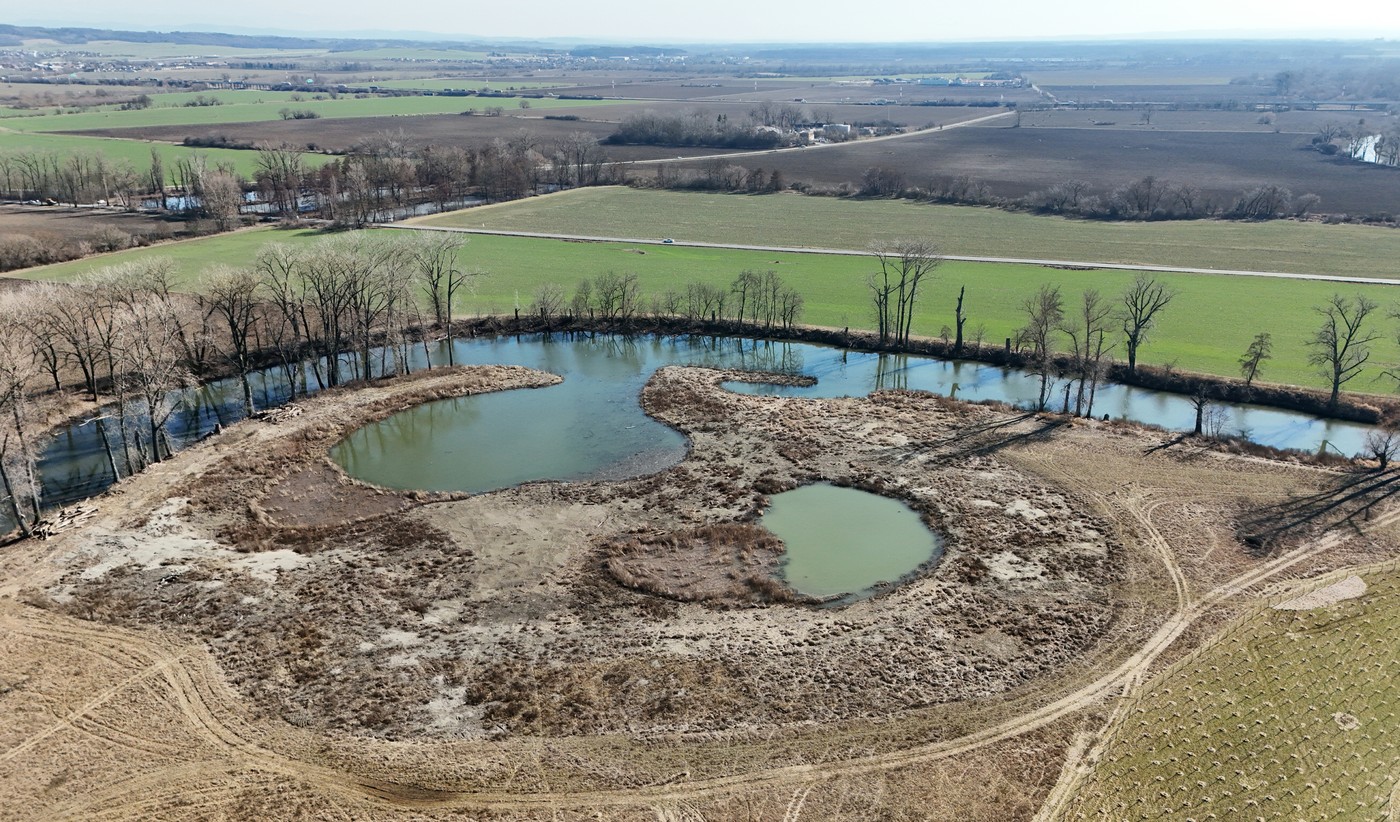 Obnovené slepé rameno řeky Moravy v Olomouci se po úpravách naplnilo vodou