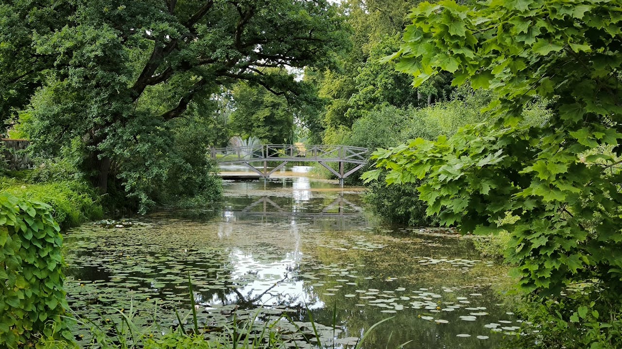 Miliardy z EU zelenají: 222 projektů vrací přírodu do českých měst