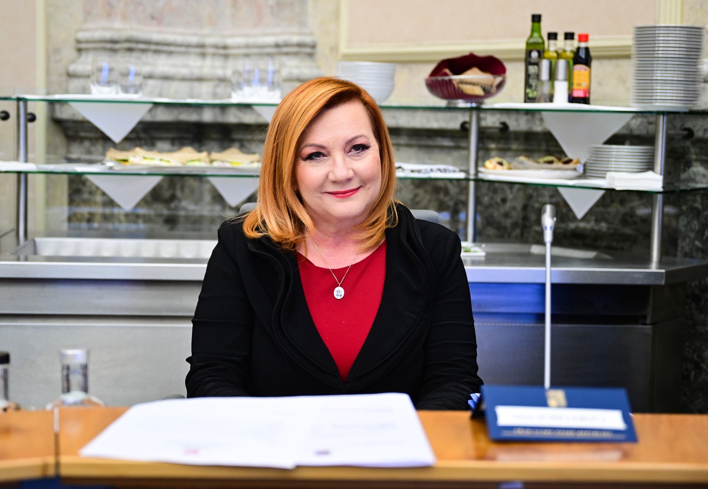 Zrušení NERV rozdělilo politickou scénu: Schillerová krok hájí, odborníci varují