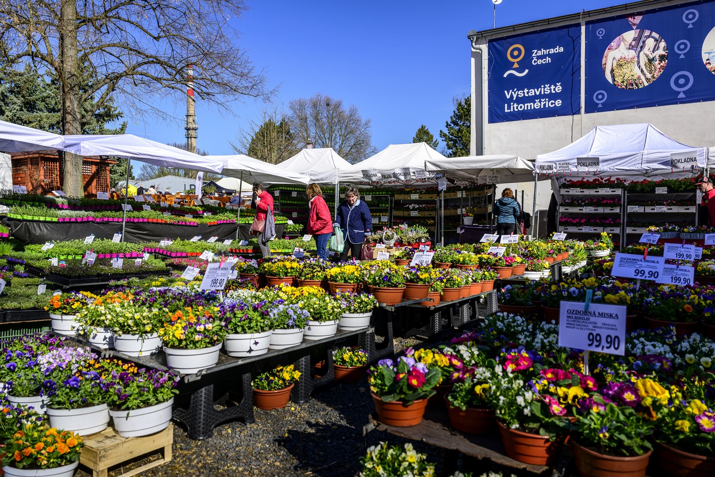 V Litoměřicích začal veletrh Tržnice Zahrady Čech, potrvá do neděle