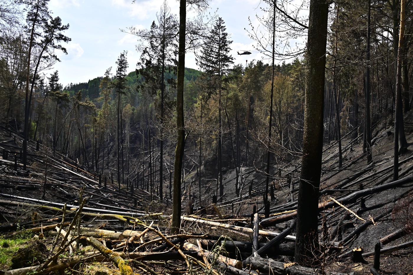 V Českém Švýcarsku zbývá uhasit pět hektarů lesa, letecká pomoc skončila