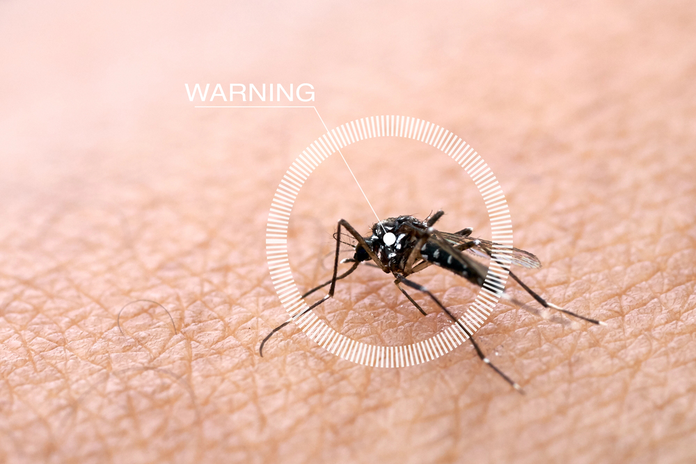 Epidemie dengue v Bangladéši sílí, za 24 hodin přibylo 1558 nakažených