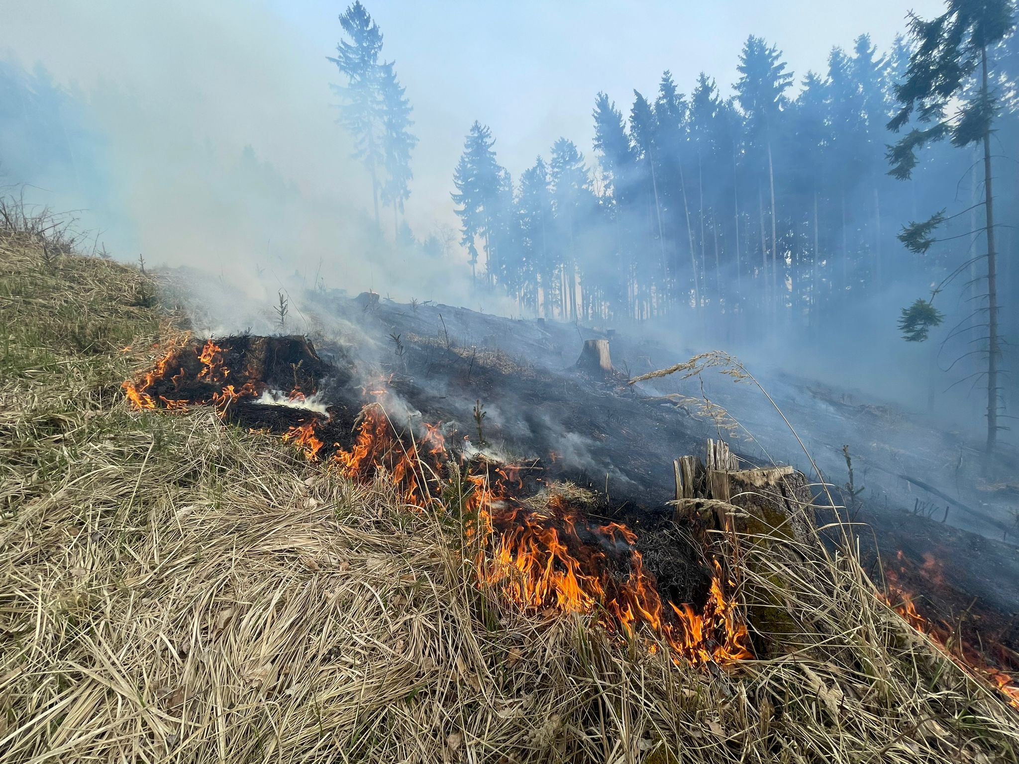Na okraji Trutnova hořel les, příčinou požáru byla nedbalost při pálení klestí
