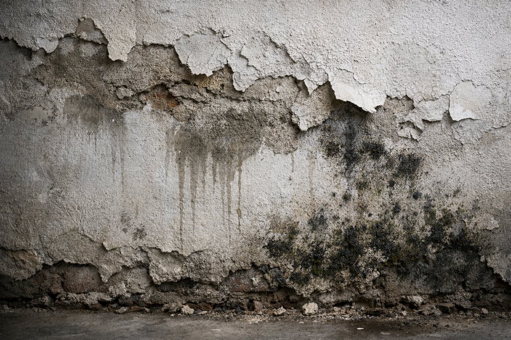 Proč sanace zdiva vyžaduje poctivou přípravu a správnou metodu 