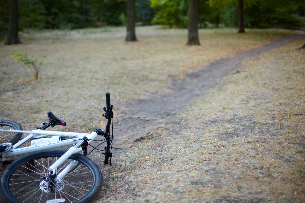 Na středním Slovensku medvěd napadl cyklistu, muže museli operovat