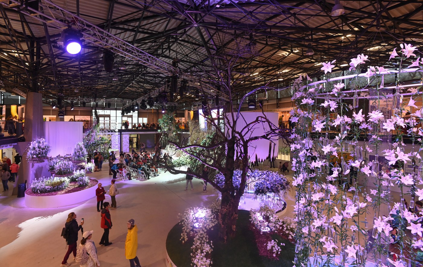 V Olomouci začíná jarní výstava květin Flora