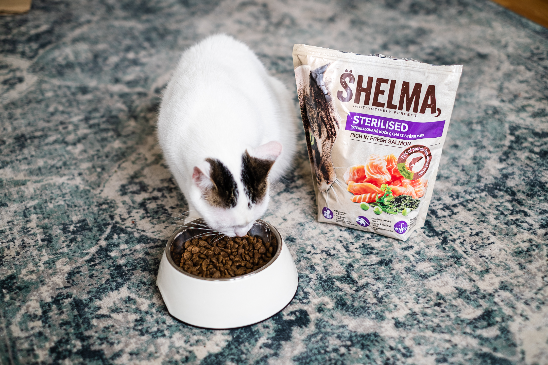 Jak si v zimě dopřát více klidu? Zkuste to s kočkou 