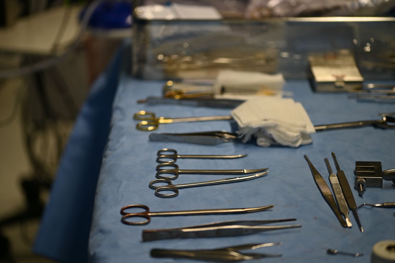  Průlomový rozsudek NSS: Oběti protiprávních sterilizací mají nárok na nové posouzení žádostí