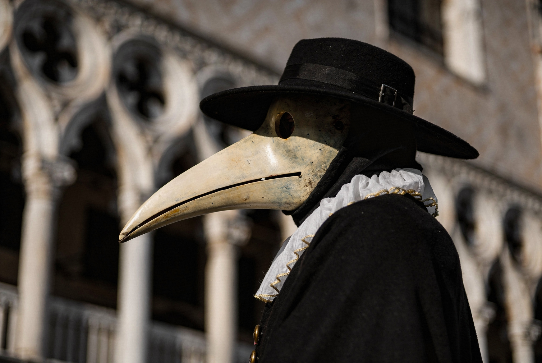 Černá smrt řádila ve středověku až v Kutné Hoře, zjistili vědci