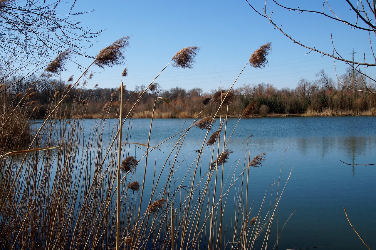 Rybník, který nebyl odbahněn od 15. století, čistí za čtvrt miliardy korun