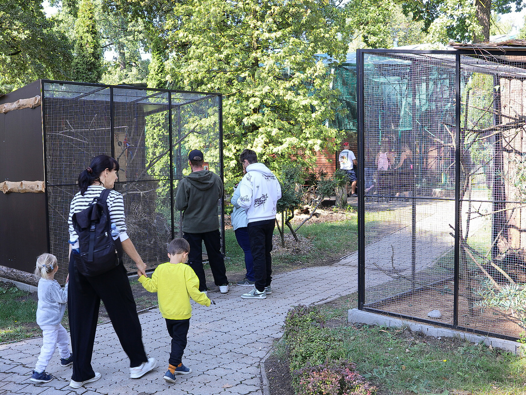 Šest voliér, šest druhů a 25 ptáků. Hodonínská zoo otevřela papouščí stezku