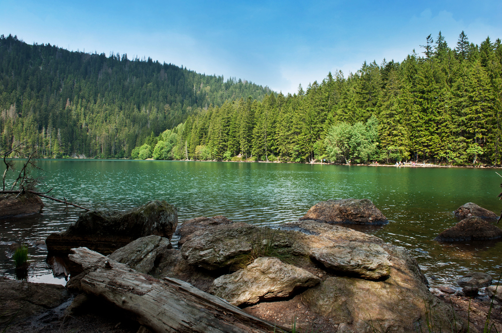 Ministerstvo chce škrty v národních parcích. Ochrana přírody jde stranou