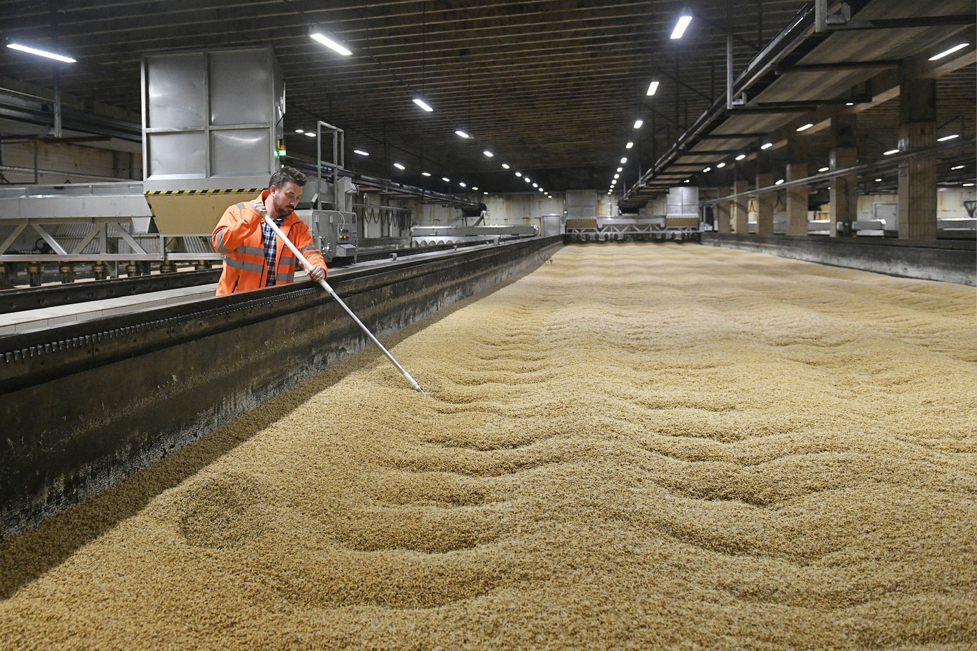 Prazdroj loni v ČR prodal miliony hektolitrů piva. Ale méně než předloni