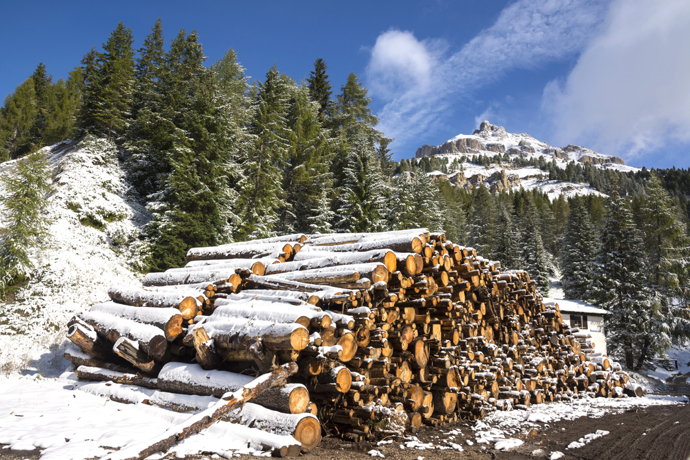 Olympiáda za miliardy: pochybnosti o ekologii i skutečných nákladech her