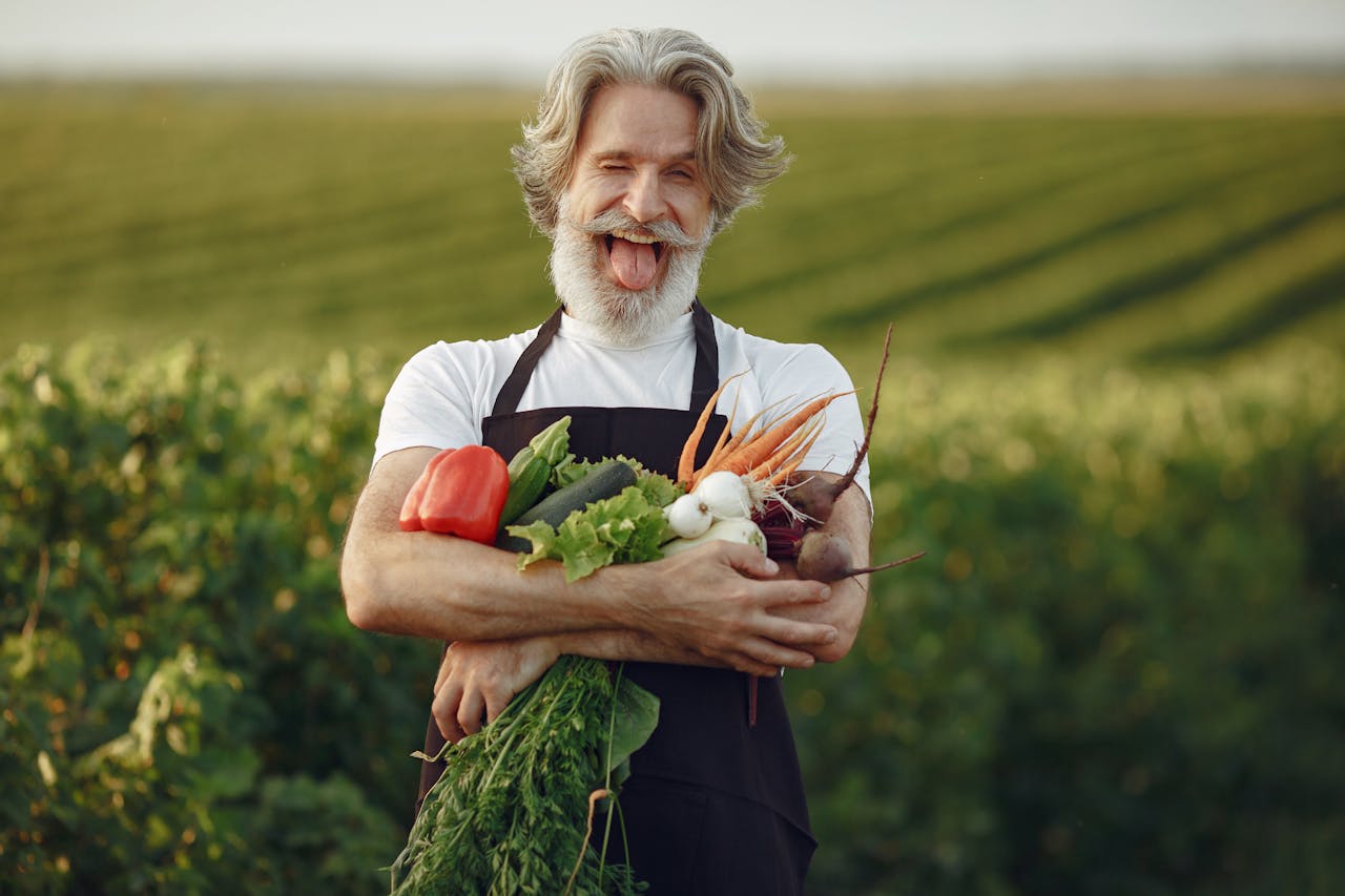 Městské zemědělství láká, farmáři se učí za pochodu